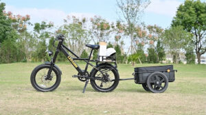 Budget-Friendly Utility Ebikes