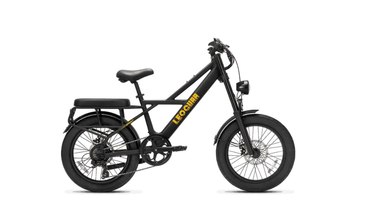 Ebikes