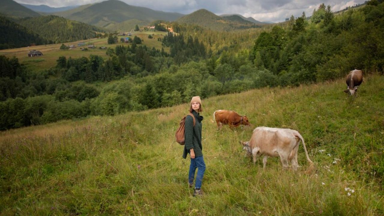 Dawson county top agriculture meat​