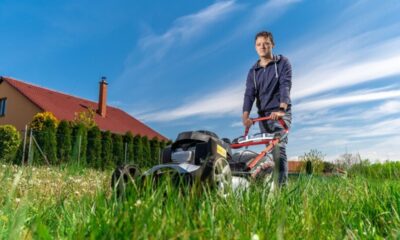 How is lawn mowing related to agriculture​