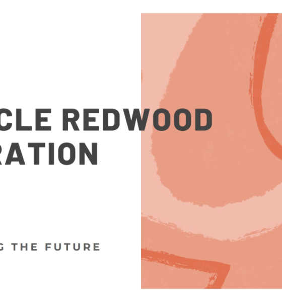 All You Need to Know About Oracle Redwood Migration