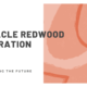 All You Need to Know About Oracle Redwood Migration