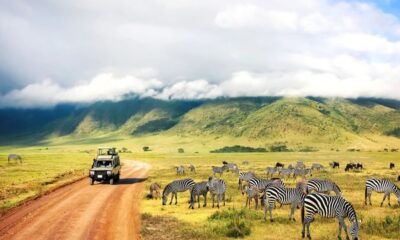 Best Times to Visit Tanzania: Planning Your Dream Safari Adventure