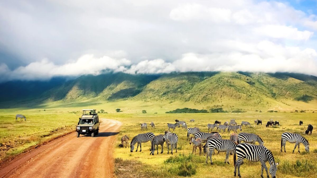 Best Times to Visit Tanzania: Planning Your Dream Safari Adventure