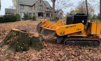 How to Choose the Right Stump Grinding Service for Your Needs