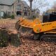 How to Choose the Right Stump Grinding Service for Your Needs