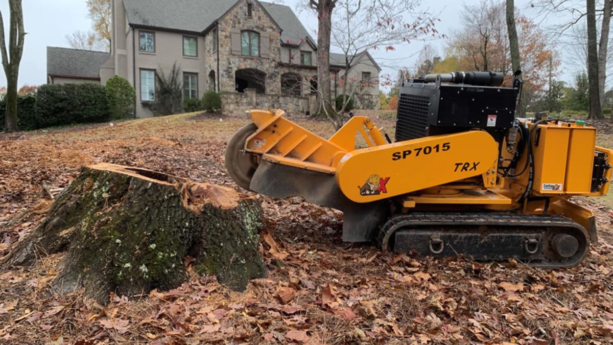 How to Choose the Right Stump Grinding Service for Your Needs