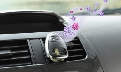 Air Fresheners for Cars