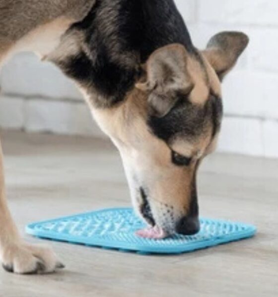 Dog Feeding Mat