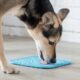 Dog Feeding Mat