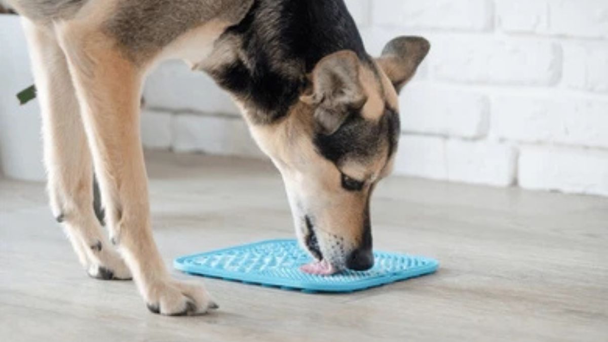 Dog Feeding Mat