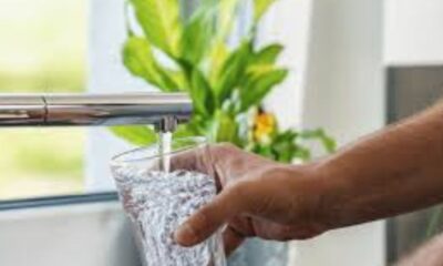 Maintaining Safe Water Systems: What You Need to Know