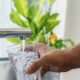 Maintaining Safe Water Systems: What You Need to Know