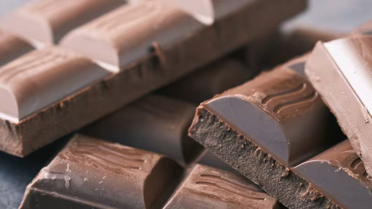 Understanding Advantages and Storage Protocols of Bulk Chocolate Bars