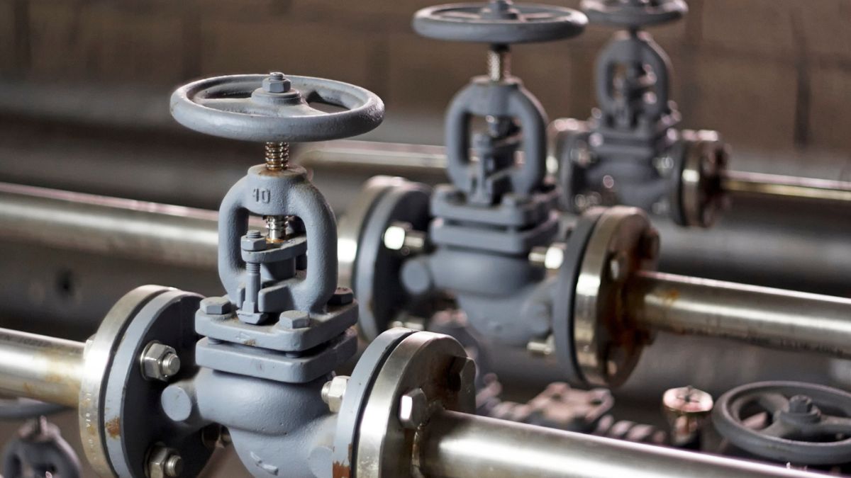 Understanding the Different Types of Valves: A Comprehensive Guide