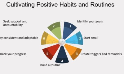 : Cultivating Healthy Emotional Habits for Lasting Cha