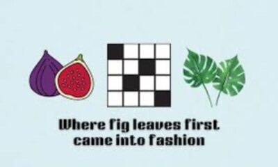 where fig leaves came into fashion​