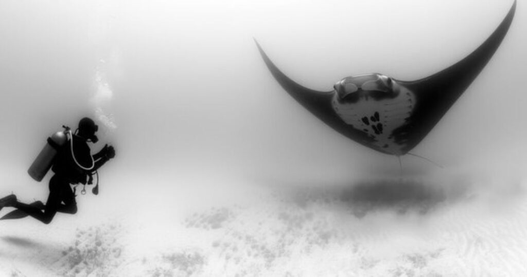 Cumhuritey A Deep Dive into its Meaning and Significance