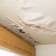 Long-Term Effects of Delayed Damage Restoration: What You Need to Know