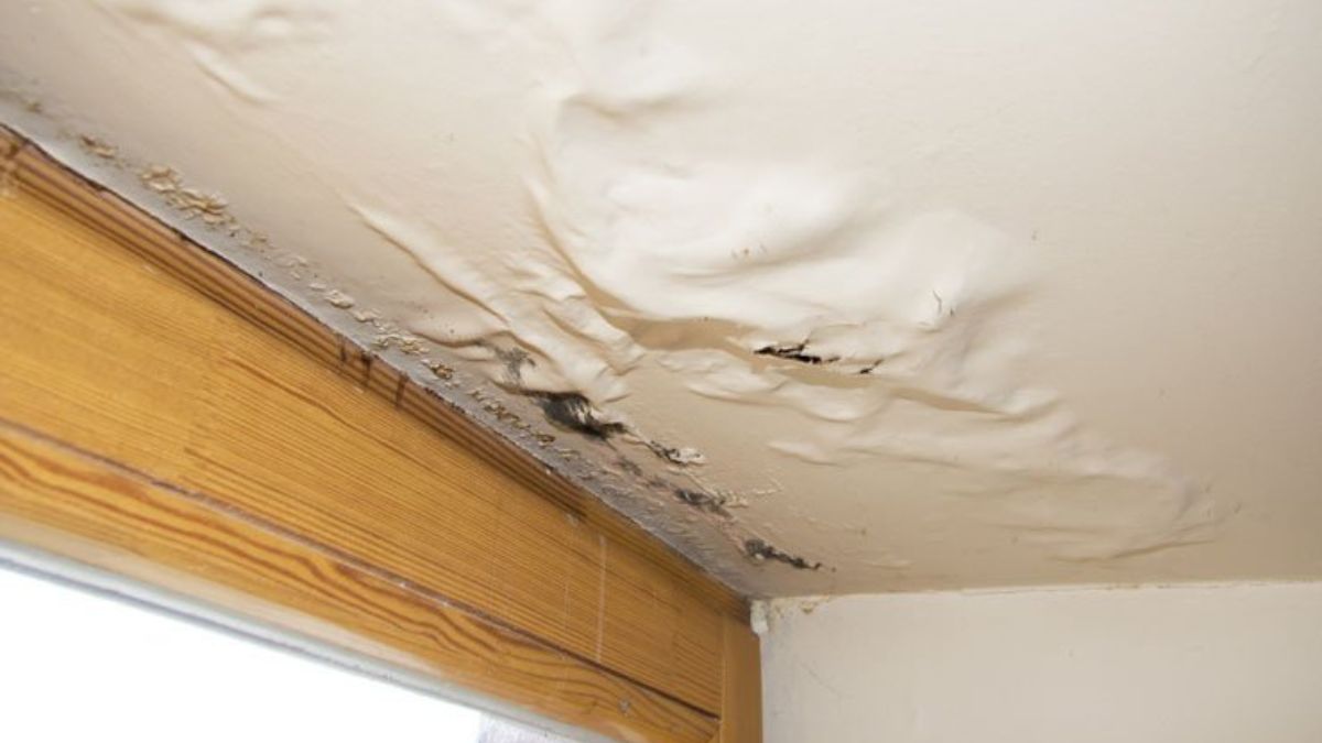 Long-Term Effects of Delayed Damage Restoration: What You Need to Know