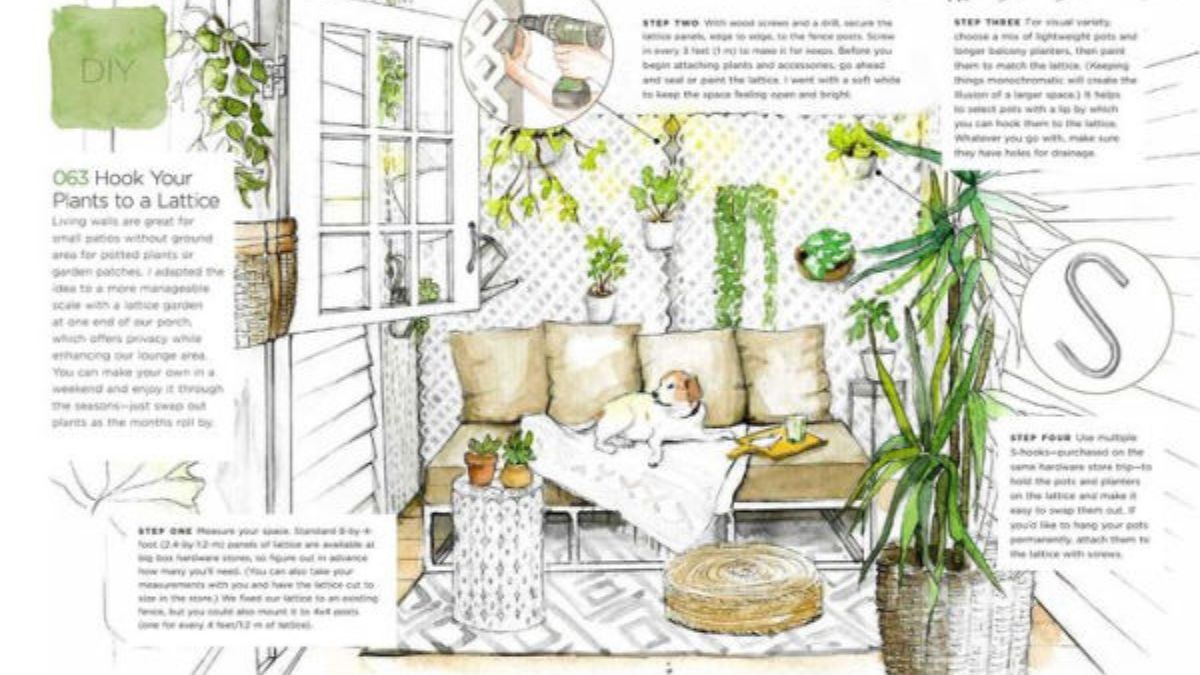 Crafting Stories in Small Spaces: The Intimate World of Laneway Living