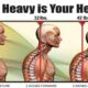 Head Tilt and Posture: How Small Misalignments Affect Your Health