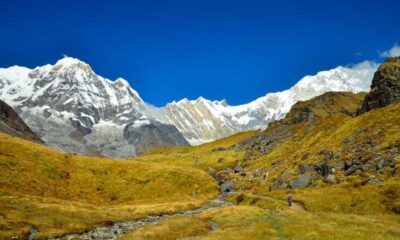 A Peak Into the Annapurna Base Camp Trek with Sherpa Expertise