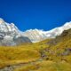 A Peak Into the Annapurna Base Camp Trek with Sherpa Expertise