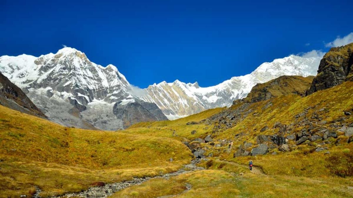 A Peak Into the Annapurna Base Camp Trek with Sherpa Expertise