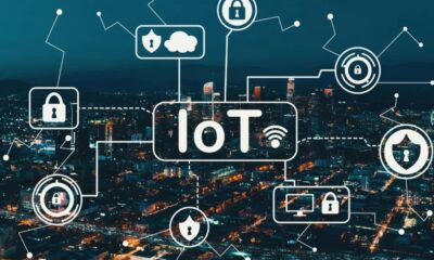 What Is an IoT Developer Responsible for? A Comprehensive Guide