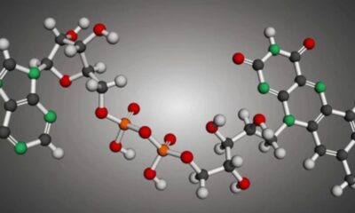 Redox Molecules