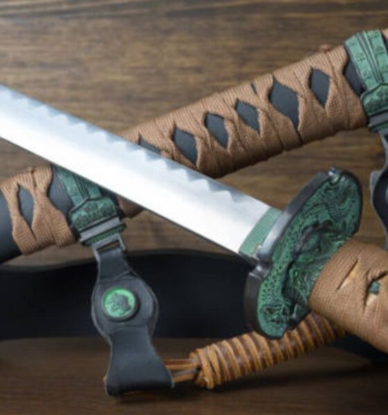 Zoro Sword and Shusui Sword