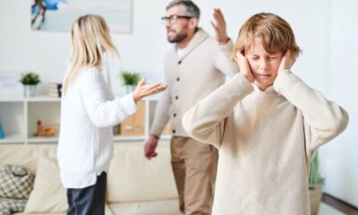 Conflict Custody Cases